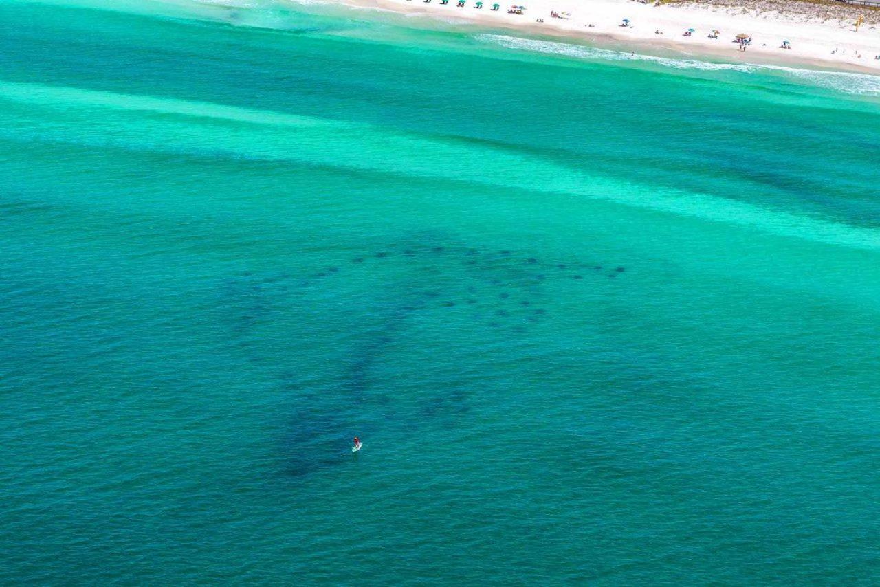 Caribbean Dunes 120 Destin Exteriör bild